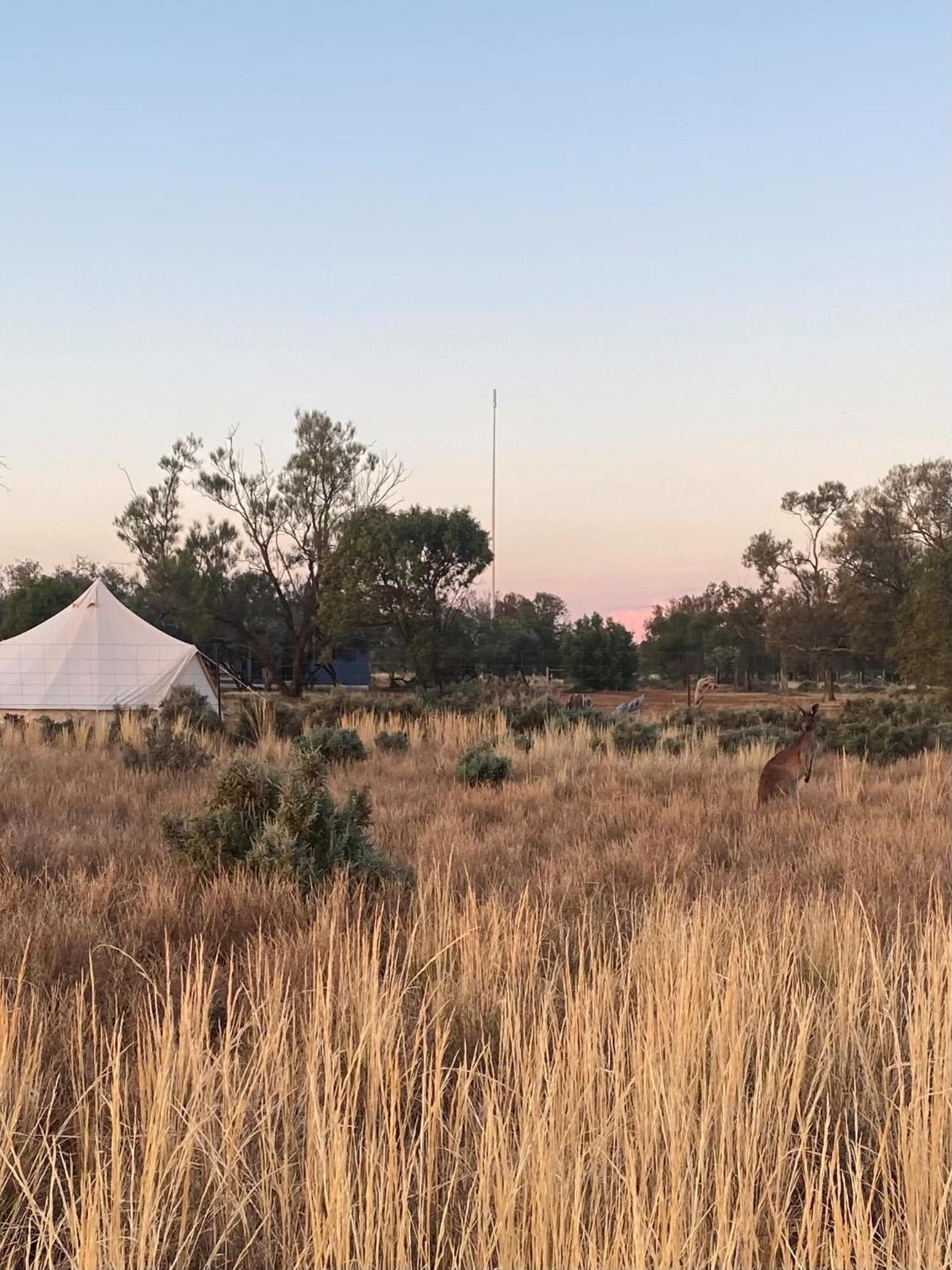 Mungo Lodge Exterior foto